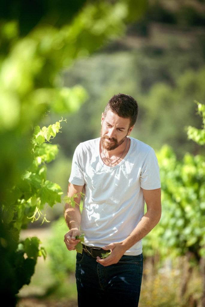 Vigneron qui regarde une vigne dans un domaine de Union des Côtes du Rhône
