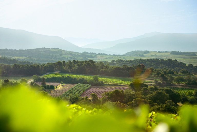 domaines de Union des Vignerons des Côtes du Rhône